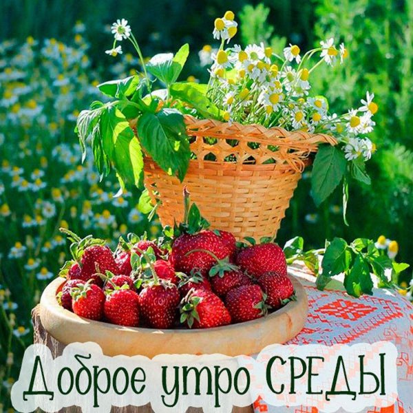 среда доброго утра