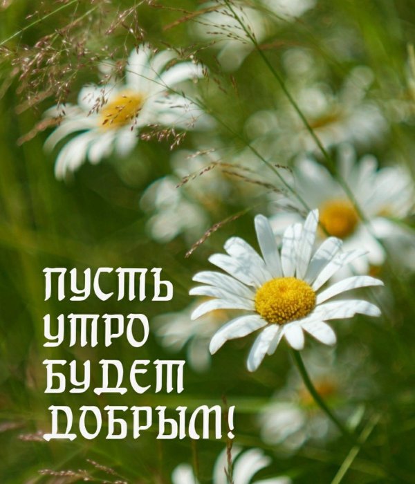 утренние пожелания