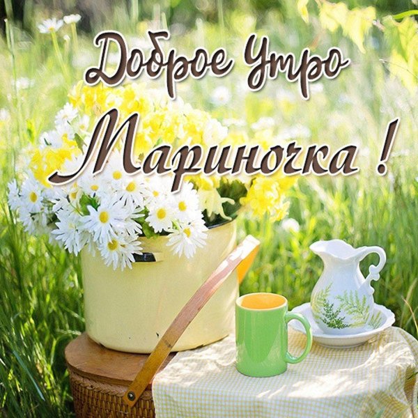 Добрый летний день