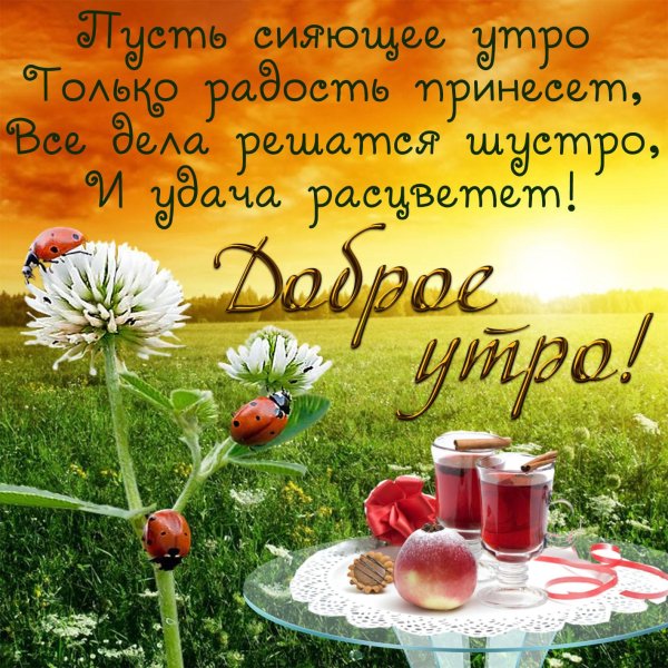 красивое пожелание с добрым утром