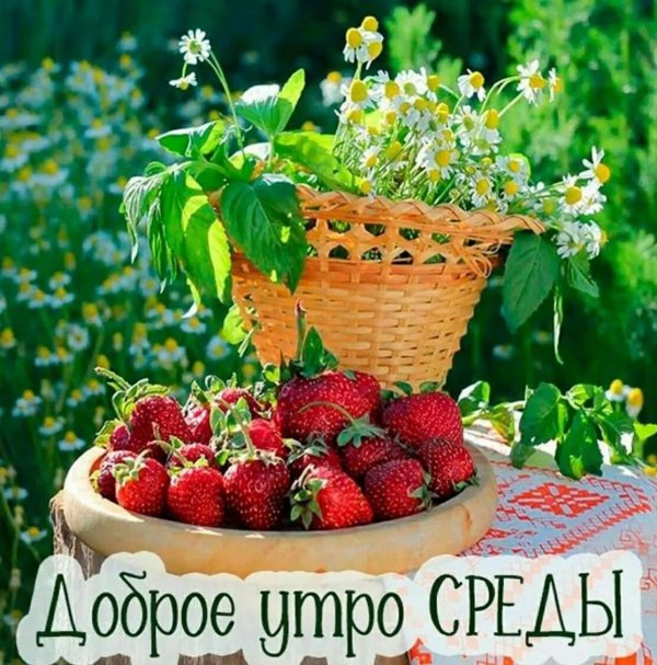 среда доброго утра