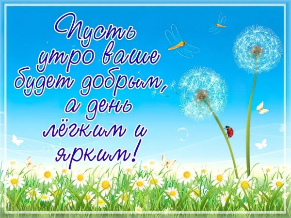летние открытки