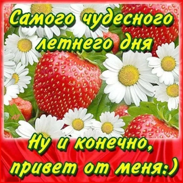 с хорошим летним днем