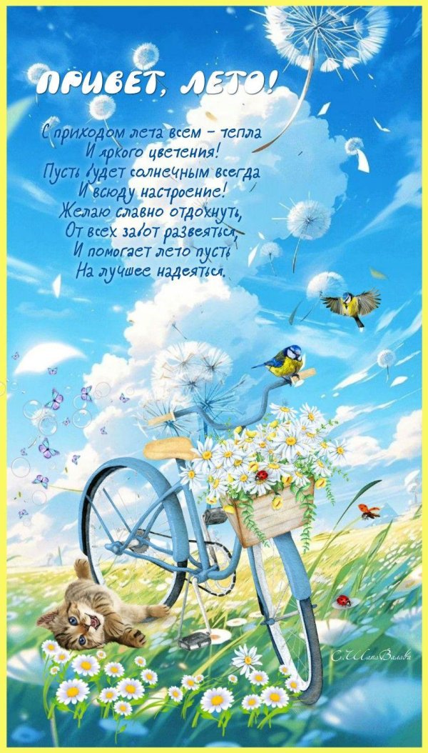 чудесное лето
