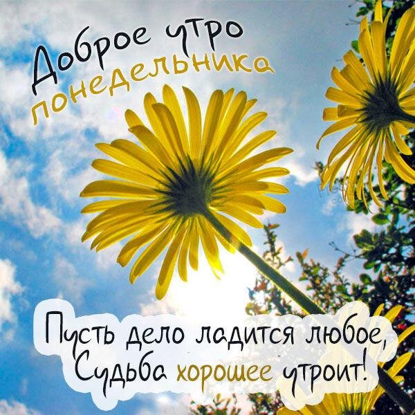 доброго летнего утра вторника