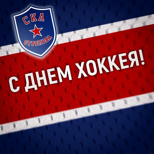 день хоккея