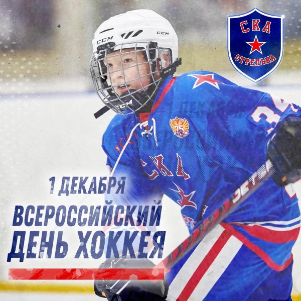 день хоккея