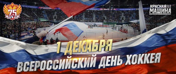 день хоккея