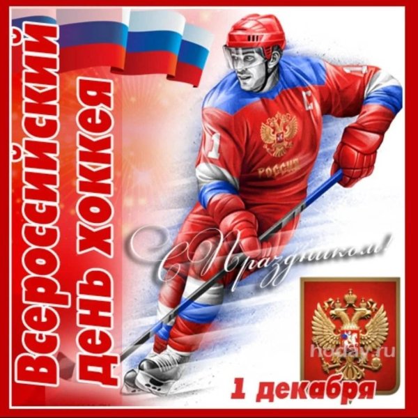 день хоккея