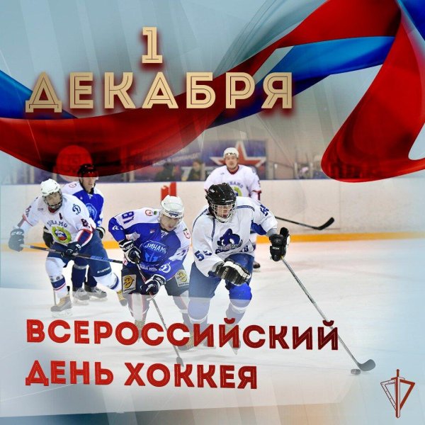 день хоккея