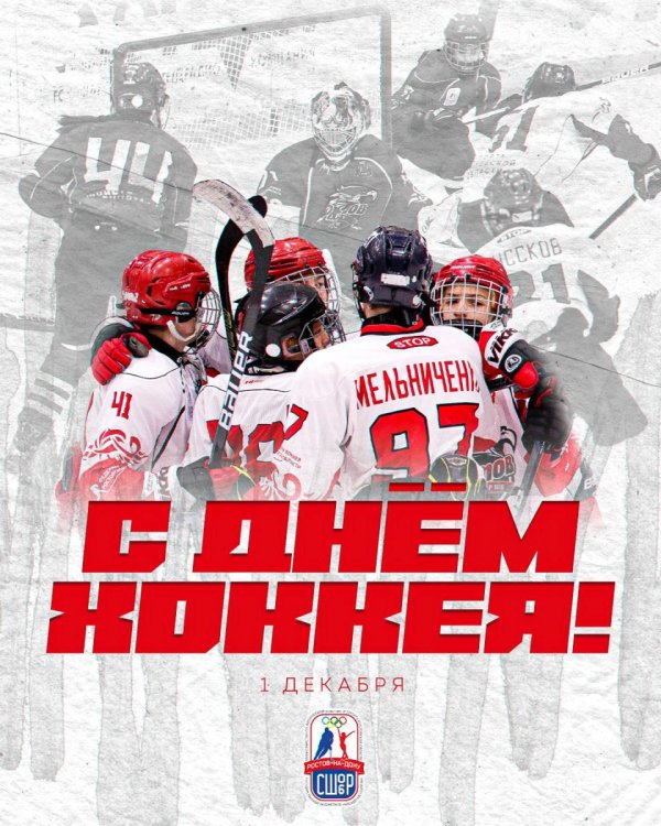 день хоккея