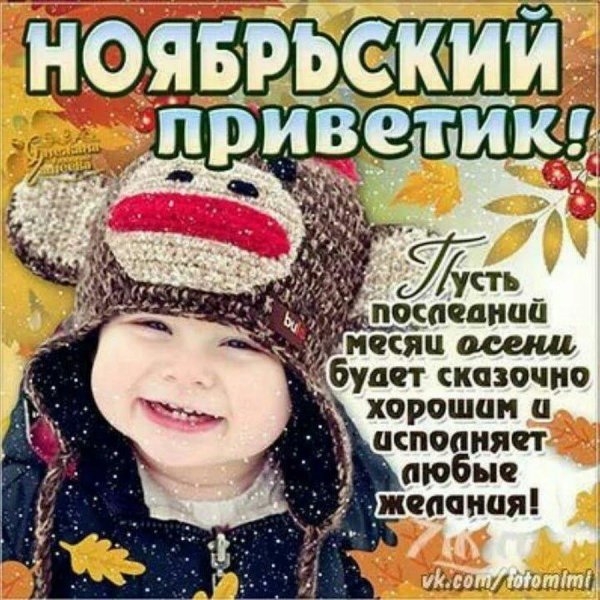 ноябрьский приветик