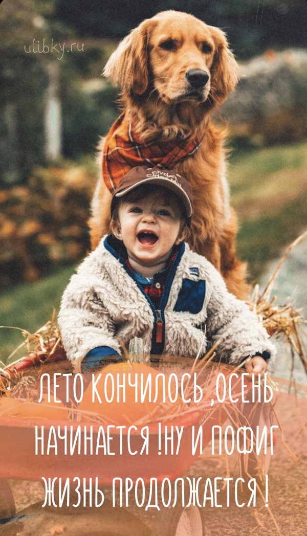 дети животные