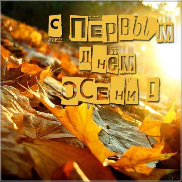 осень солнце
