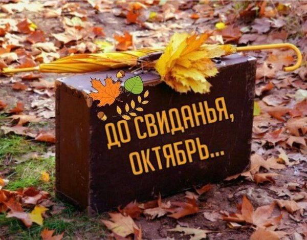 до свидания октябрь