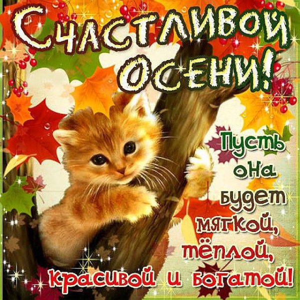осенний приветик