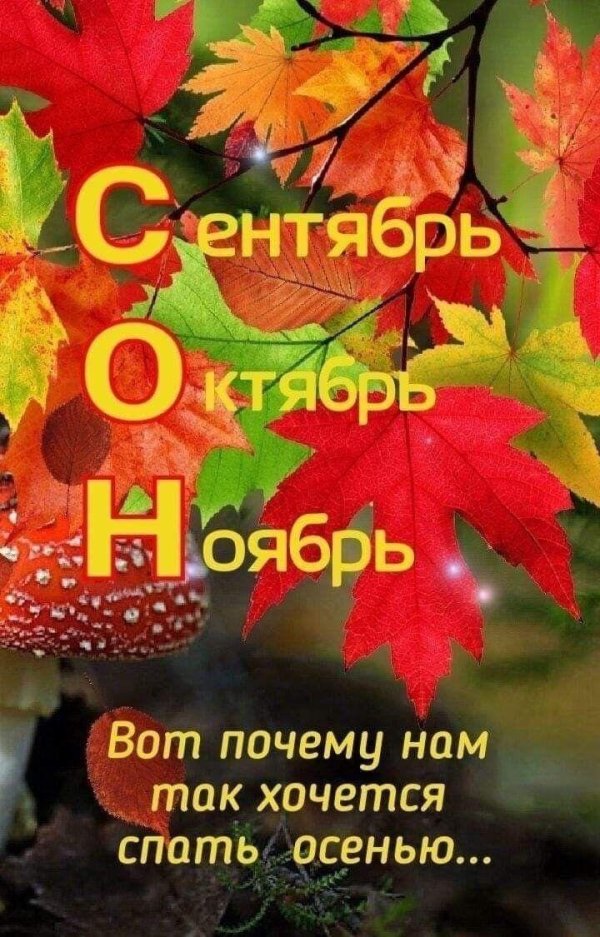 октябрь осень