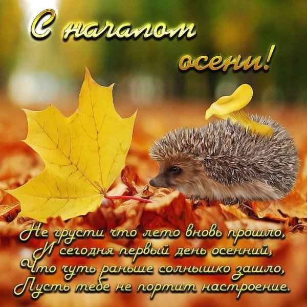 осеннее поздравление