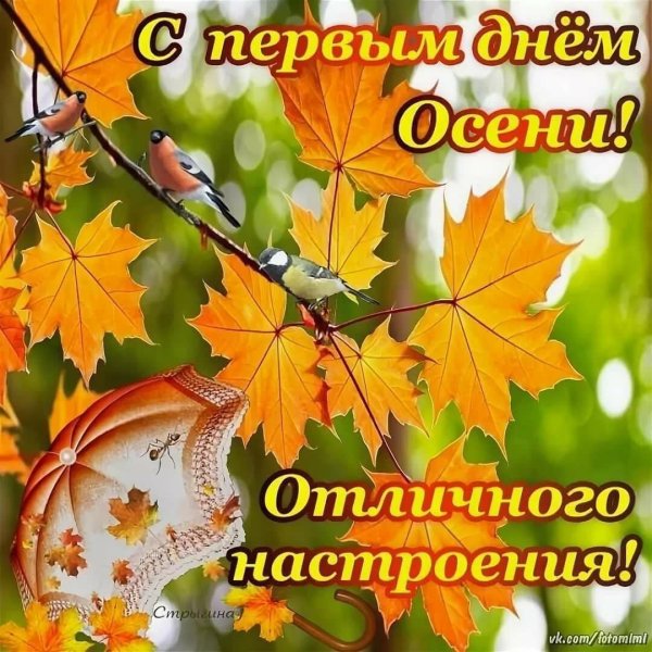 осеннего настроения