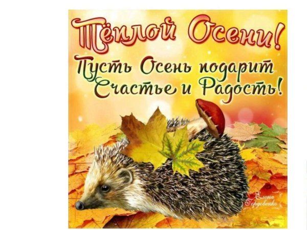 1 день осени