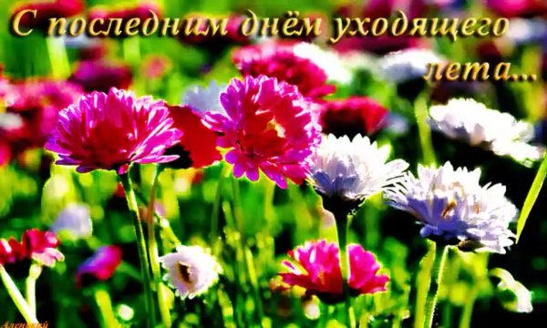 прощай лето