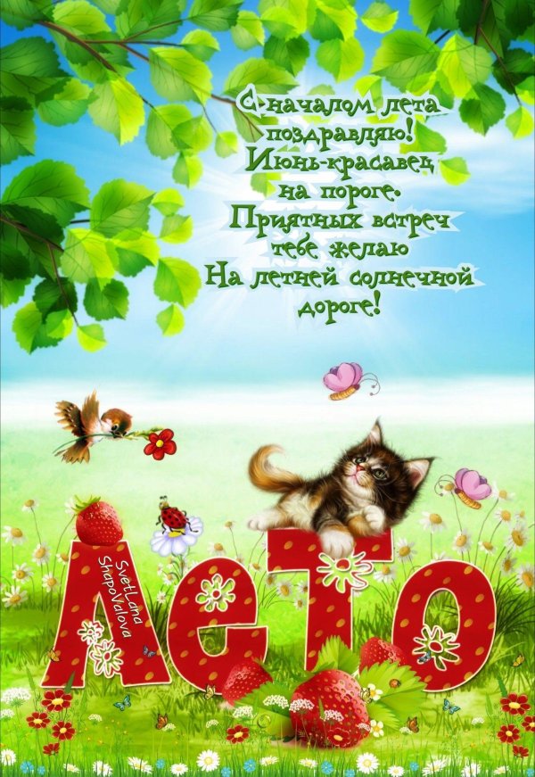 летние открытки