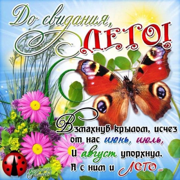 бабочка павлиний глаз