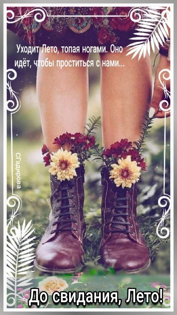 лето прощай