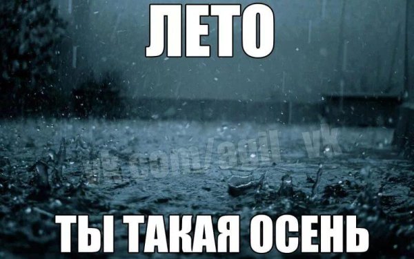 мемы про дождь