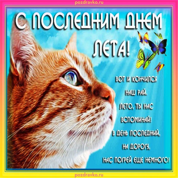 последний день лета открытка