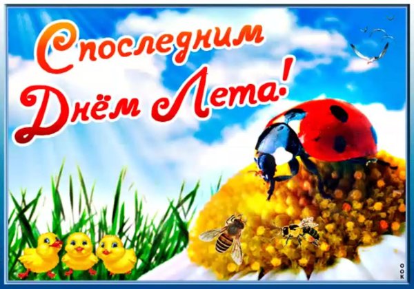 с 1 днем лета