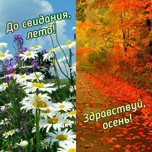 пока лето здравствуй осень
