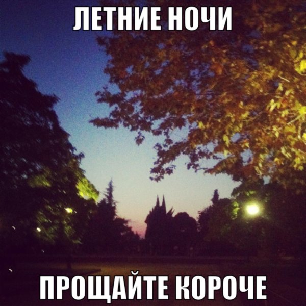 летние ночи