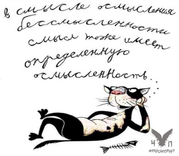 юмористические высказывания