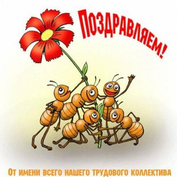 поздравление от нашего дружного коллектива