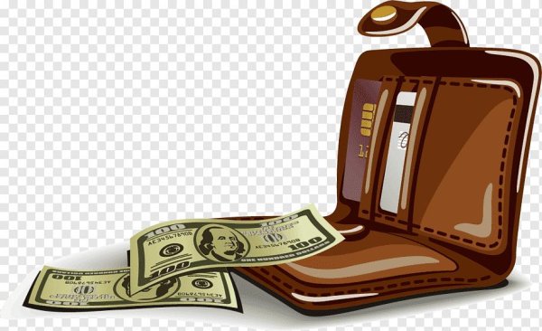 бумажник с деньгами