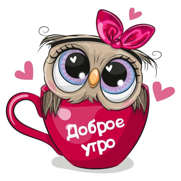 доброе утро сова