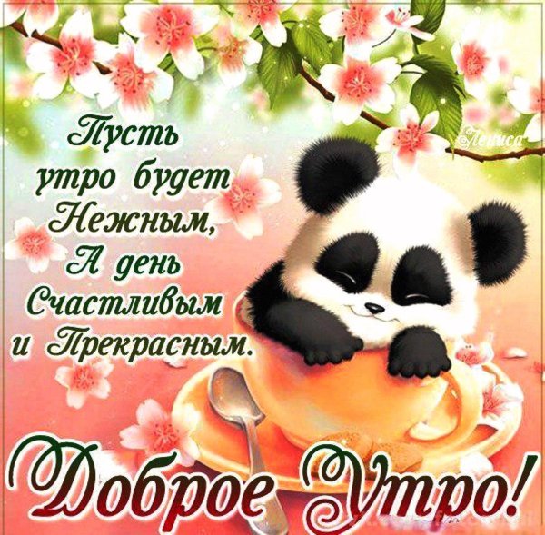 с добрым утром поздравление