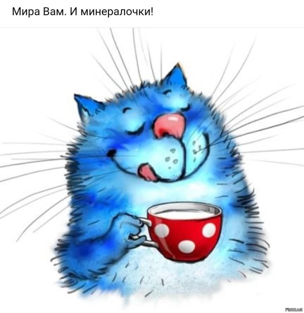 синий кот ирины зенюк