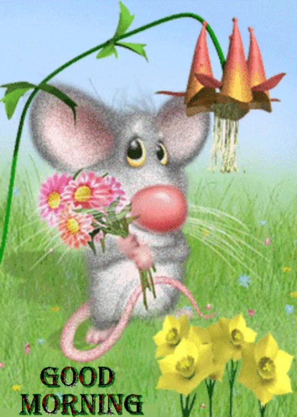 мышка плачет