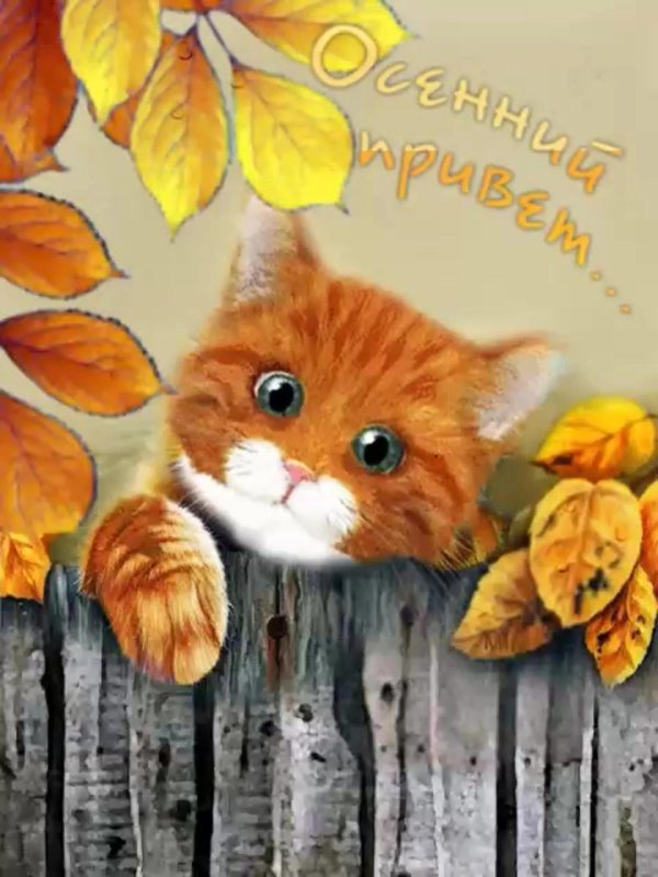 Добрый день осень