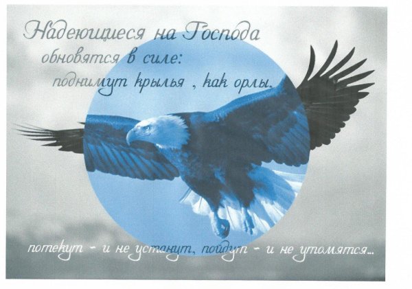 открытки орёл