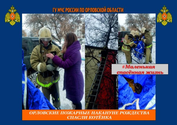 сотрудники мчс