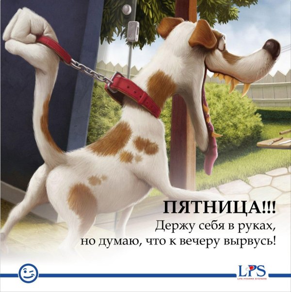 от пятницы до пятницы