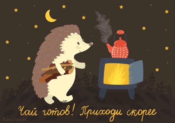 Пора домой