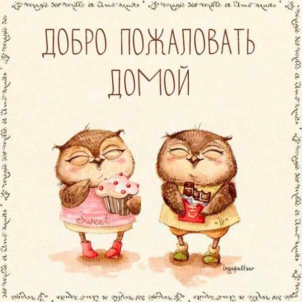 Пора домой