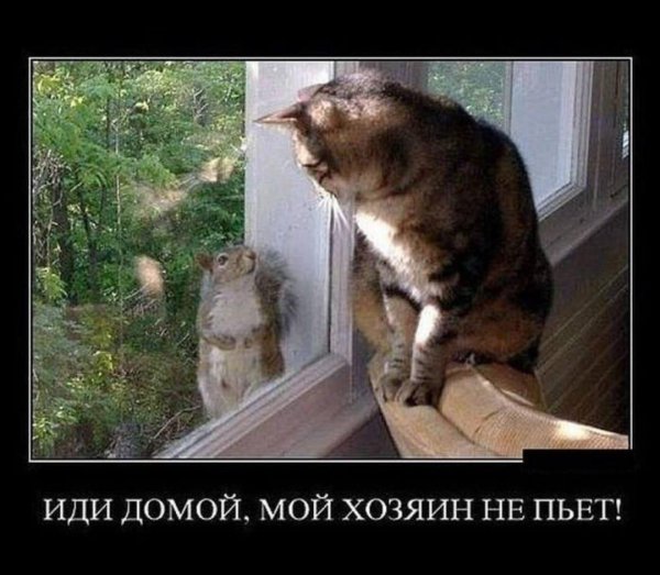 иди домой у нас никто не пьет