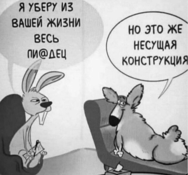 прикольный заяц