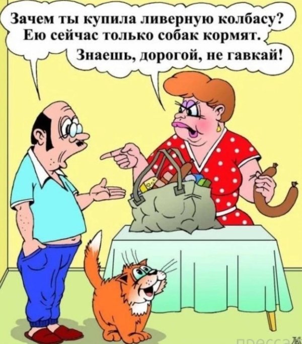 анекдоты прикольные