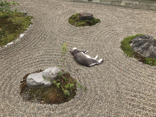 японский каменистый сад